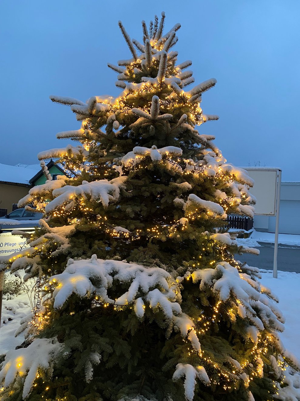 unser beleuchteter Baum vor dem Haus