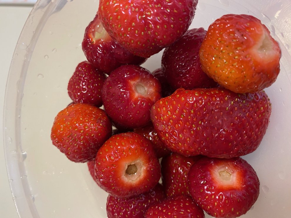 frische Erdbeeren vom Feld