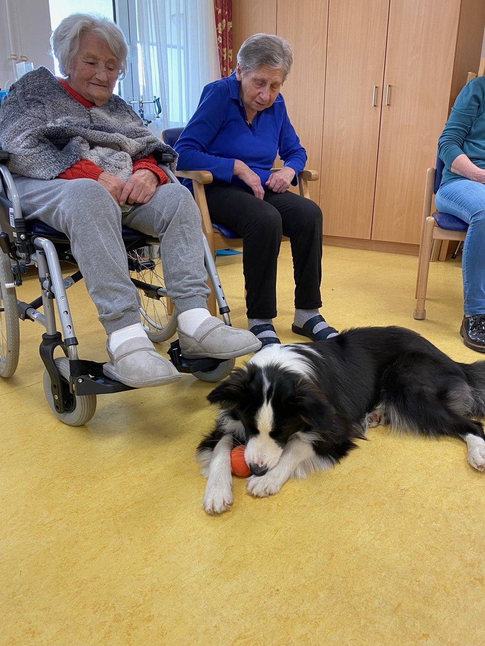 wir beobachten unseren Winnie