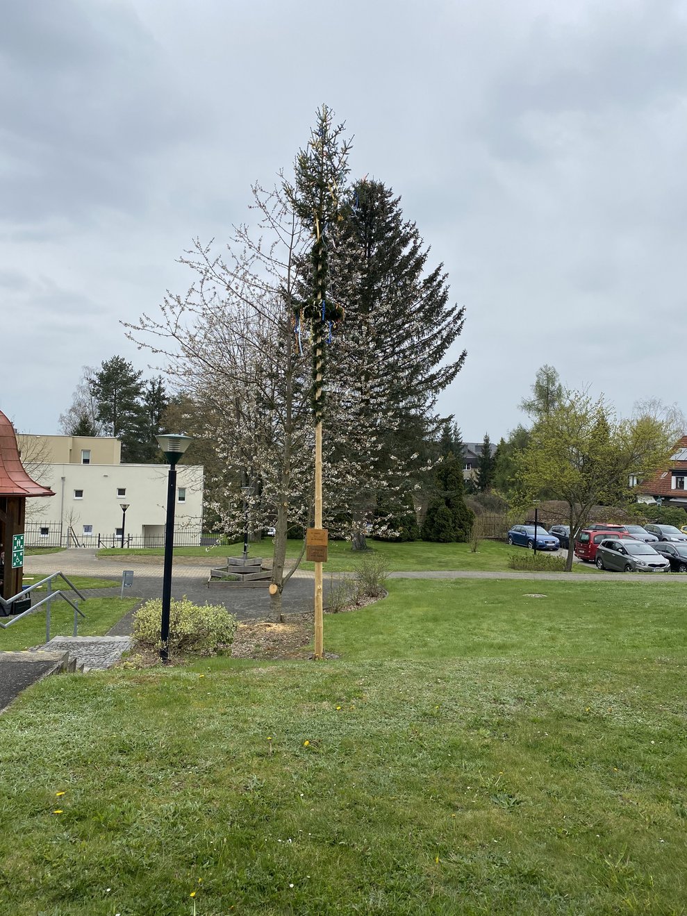 Geschafft- unser Baum steht