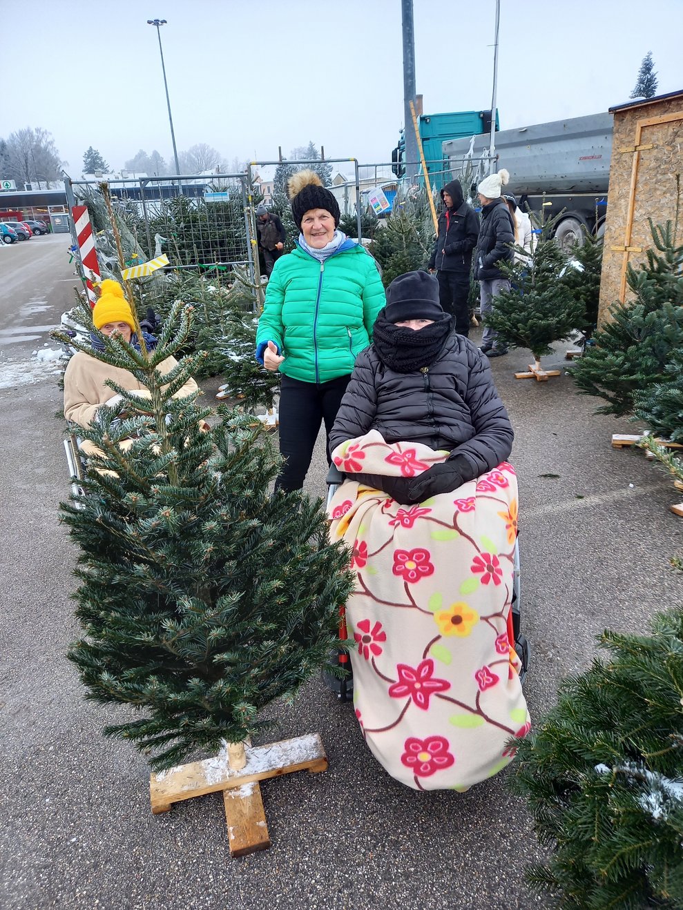 auch der Christbaum Verkauf wurde besucht