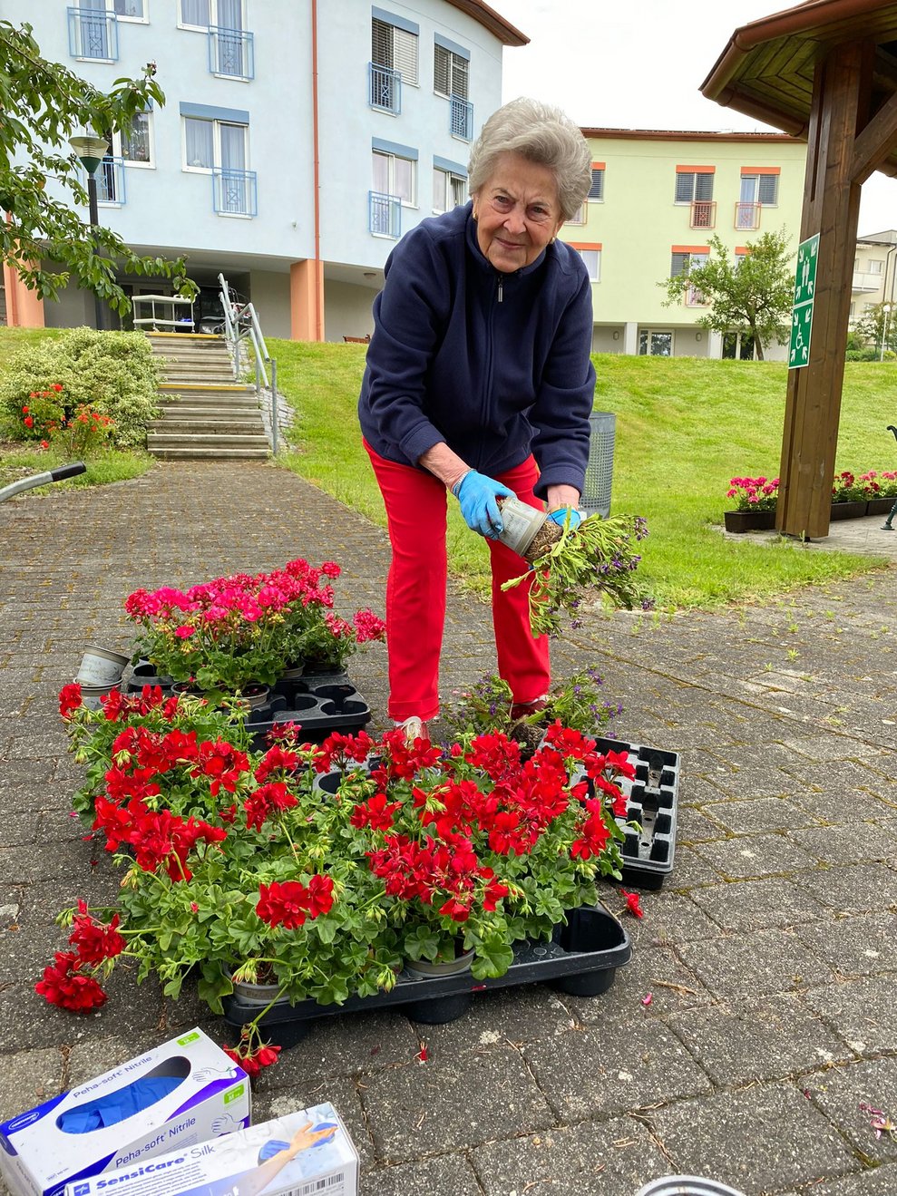 unser Garten wird geschmückt