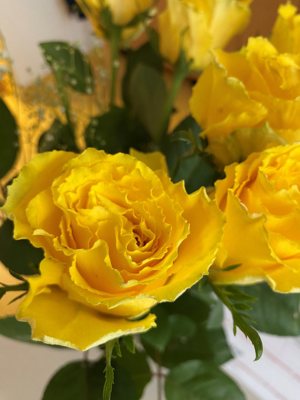 Danke für die mitgebrachten Rosen