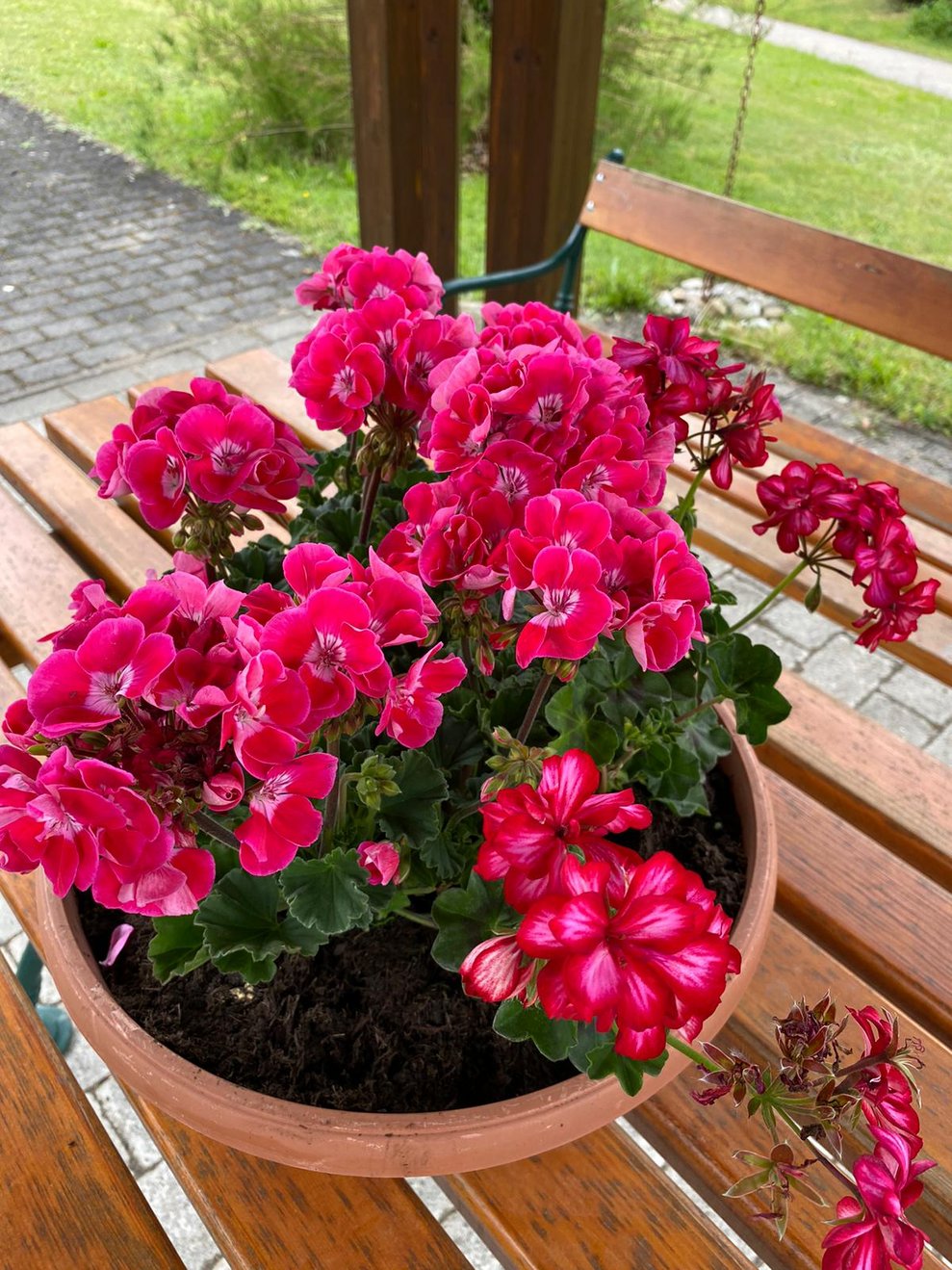 so eine tolle Blumenspende