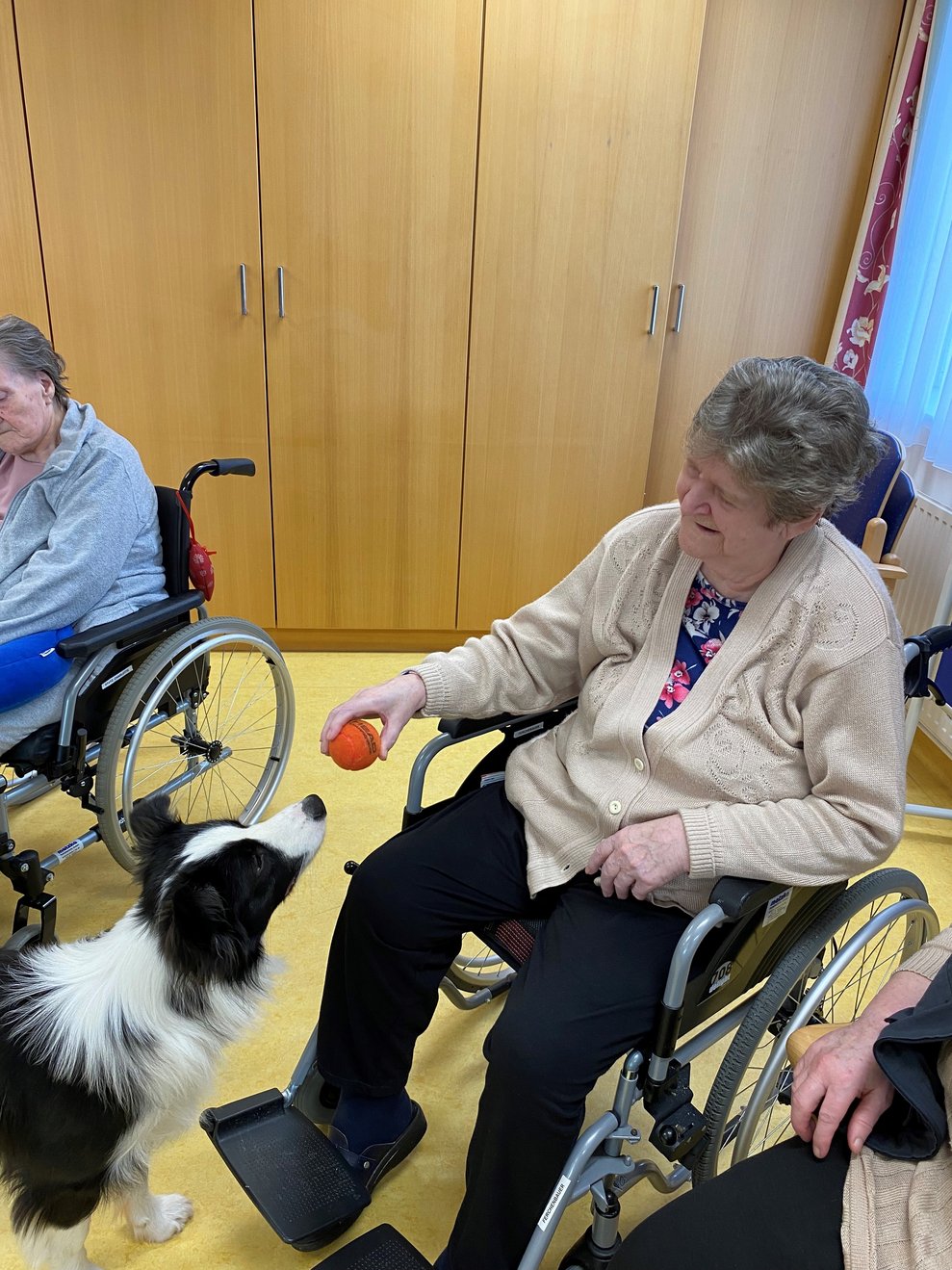 Ballspiel mit Winnie